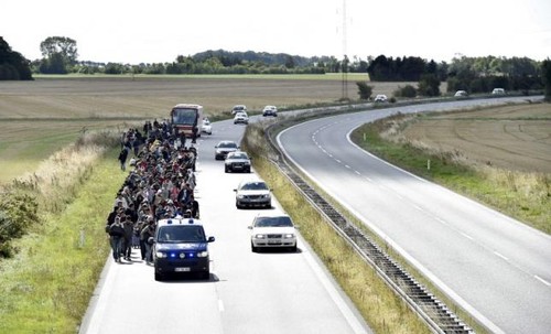 Denmark extends border checks to control illegal migrants - ảnh 1